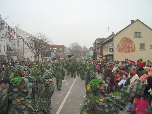 ../Images/2005-01-16_Narrenverein in Gottmadingen_014.jpg